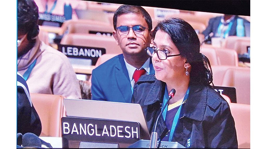 Rizwana urges grant-based allocation at COP29 negotiations