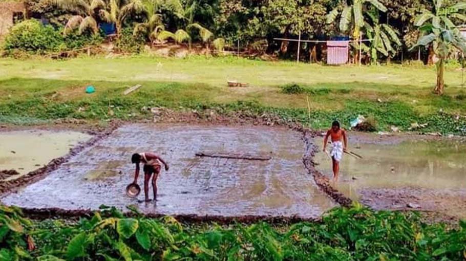 35,000 flood-affected farmers in Gaibandha get Boro seeds