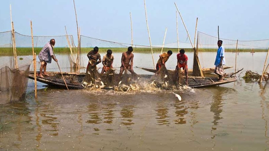 Floods cause Tk 2,327cr losses in fisheries, livestock sectors