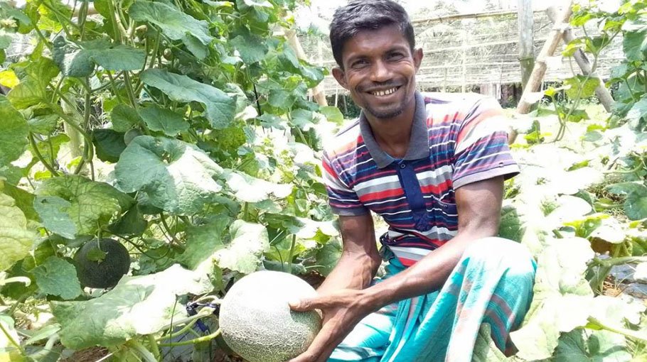 Rockmelon cultivation gains popularity in Tala