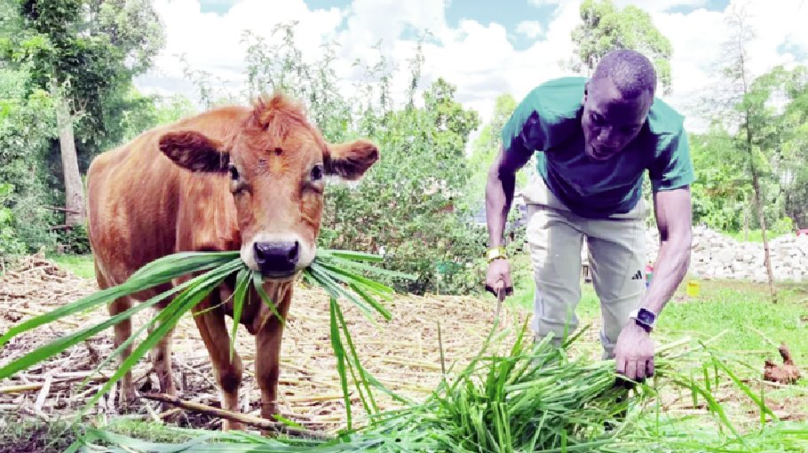 Tale of an Olympic champion 