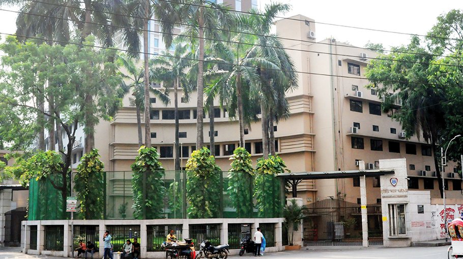 ACC digitization work still in hibernation 