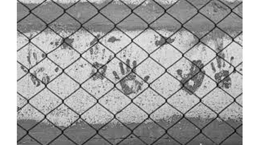 Tears of Blood: Eugenics, Disposability, and the War on Children