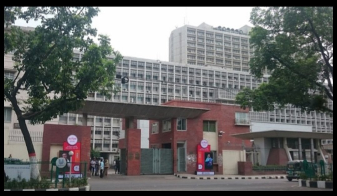 Decision on Public Service Ordinance after CA’s return from Japan