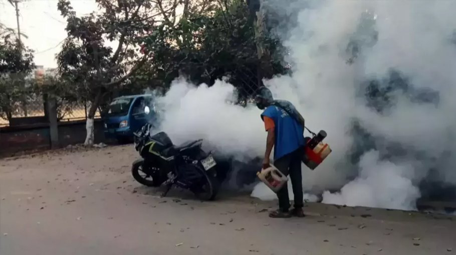 21 more dengue cases reported   in 24hrs