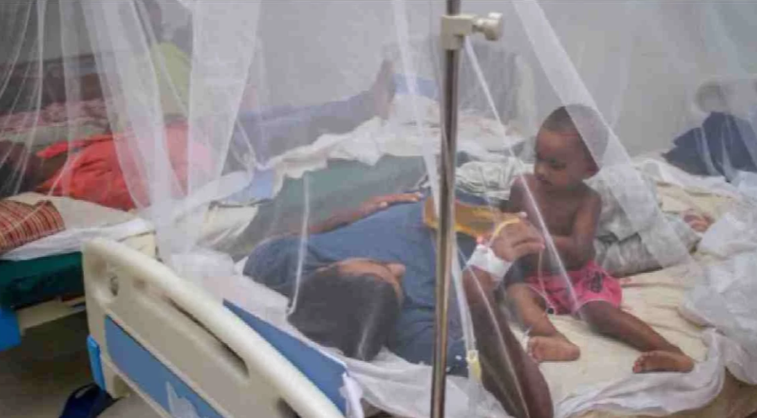 Dengue: 288 fresh cases in 24hrs mark this year’s highest single-day spike