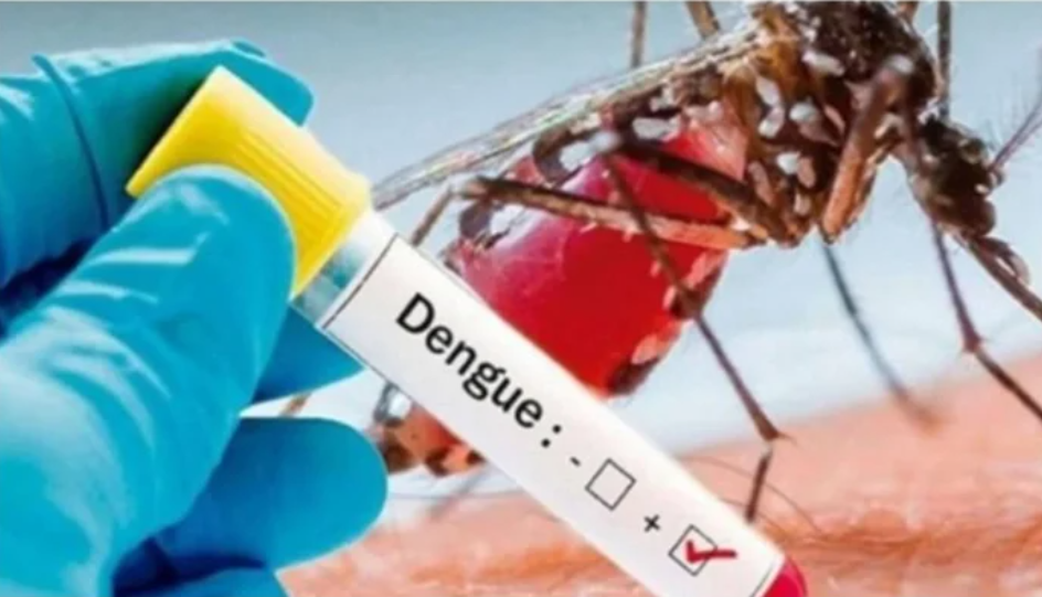 Dengue: 5 die, 159 hospitalised in 24hrs