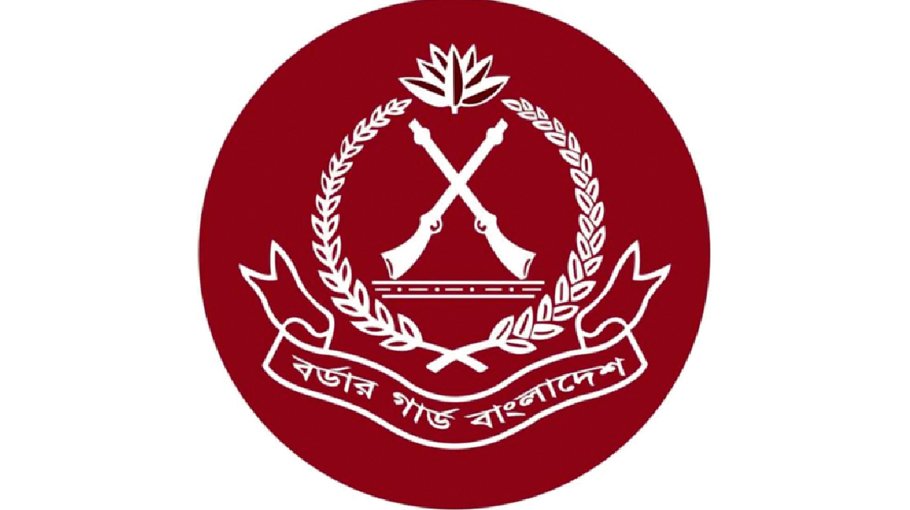BGB seizes smuggled goods worth Tk 133.11cr in May