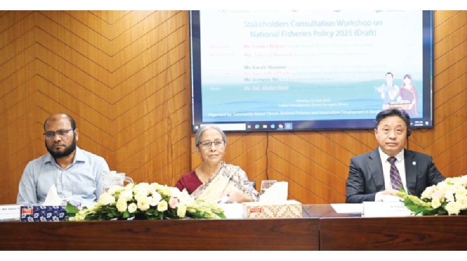 Animal feed must not be used as fish feed: Adviser