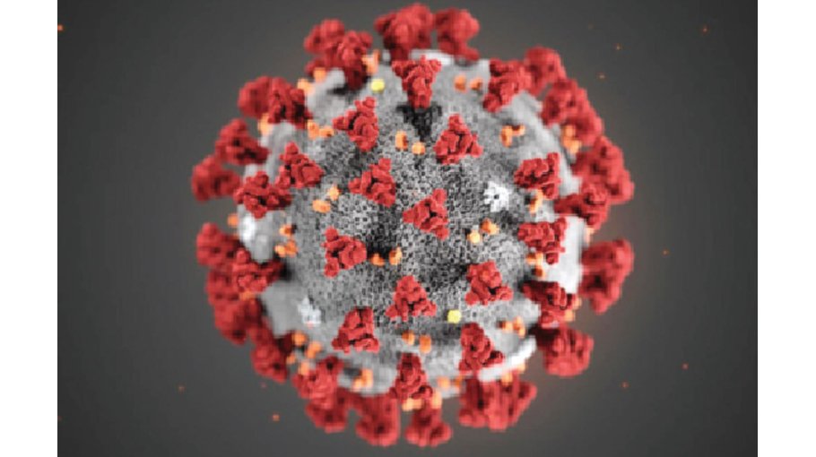 Covid-19: 3 more deaths, 19 new cases reported in 24hrs