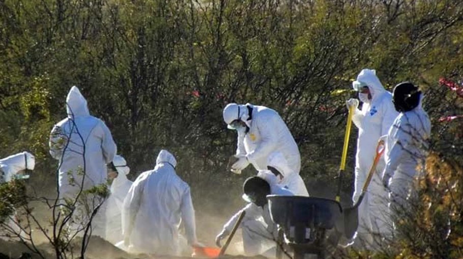 34 bodies found in Mexican mass grave