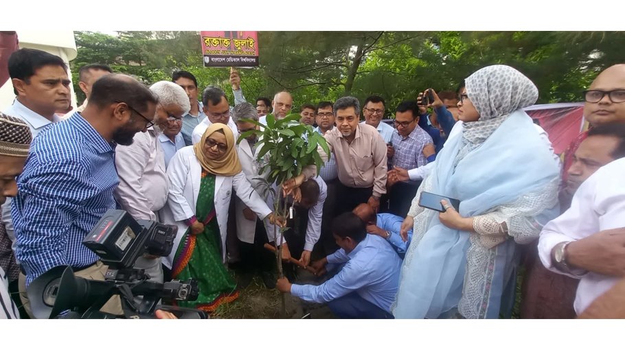 BMU marks July uprising with rally, tree plantation