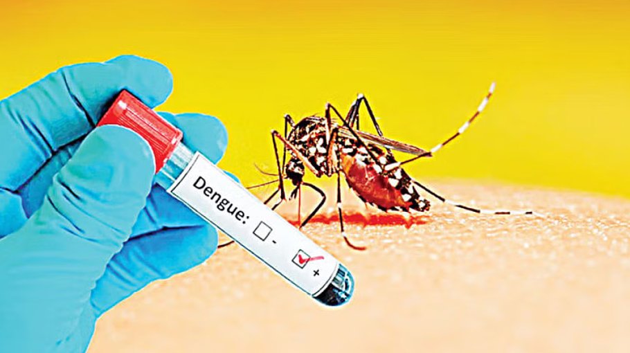 19 dengue deaths, 5951 cases recorded in June alone