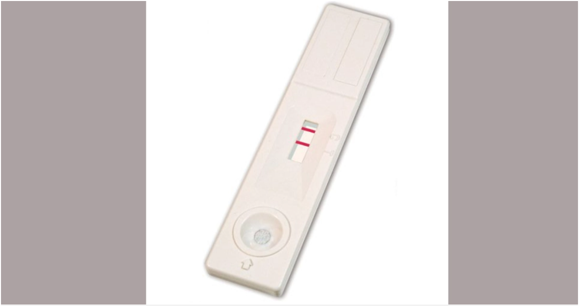 China donates dengue prevention materials to Bangladesh