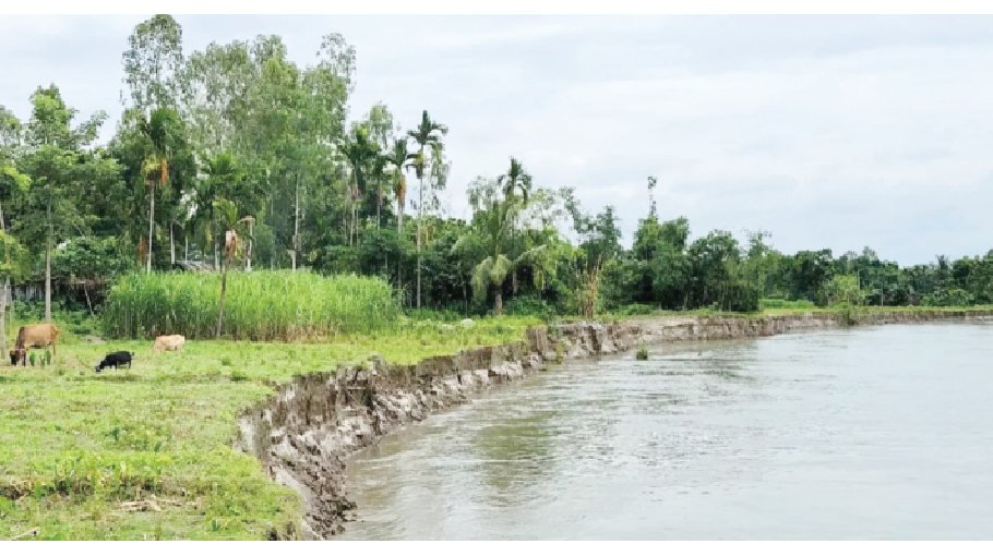 River erosion makes 50 families homeless in Kurigram 