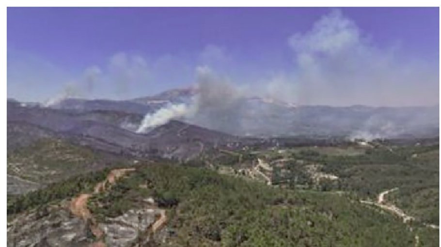 Syria says wildfires contained after  10 days 