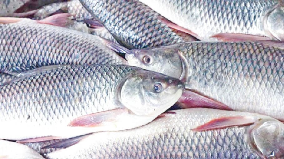 Nat’l Fisheries Week 2025 begins today  