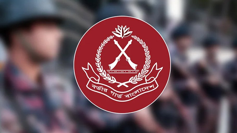 BGB recovers pistol, ammo from Maheshpur border