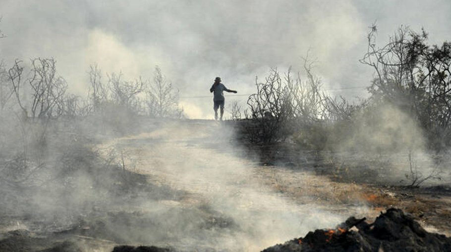 Two die as Cyprus battles wildfire in searing heat