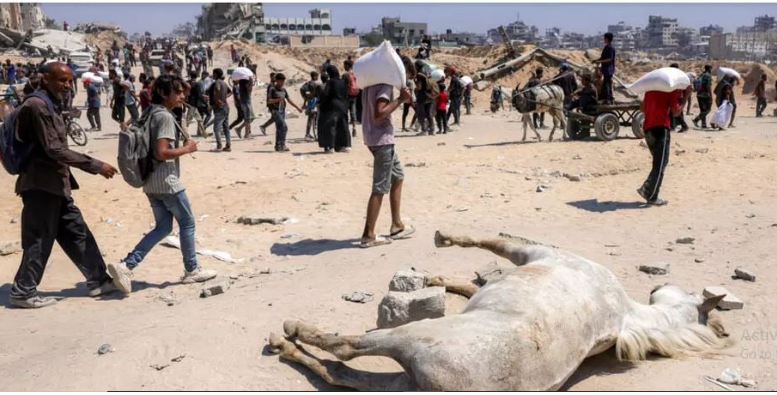 Food arrives in Gaza after Israel pauses some fighting