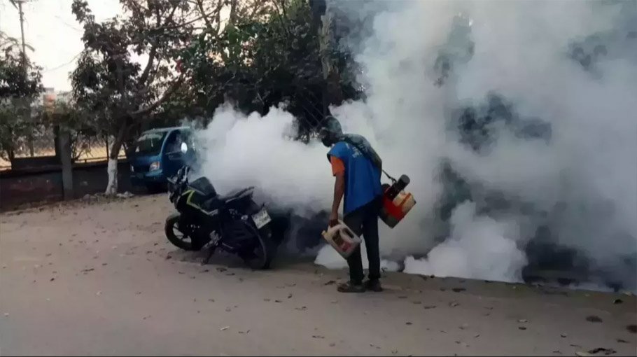 Dengue claims 2 more lives