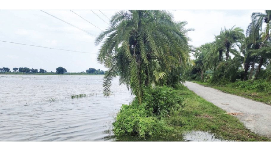 Crops on 10,000 hectares go under water in Jhenaidah