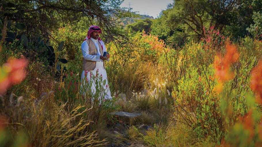 Placing nature-based solutions at  the heart of climate action