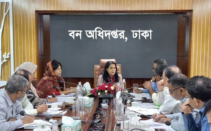 Govt has comprehensive plan to increase forest coverage to 20pc: Rizwana
