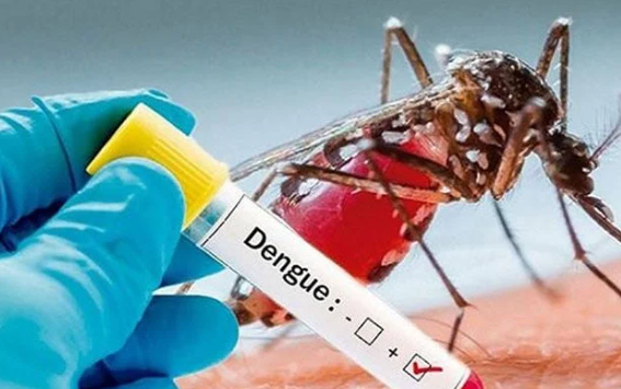 Three dengue patients die, 325 hospitalized in last 24 hrs