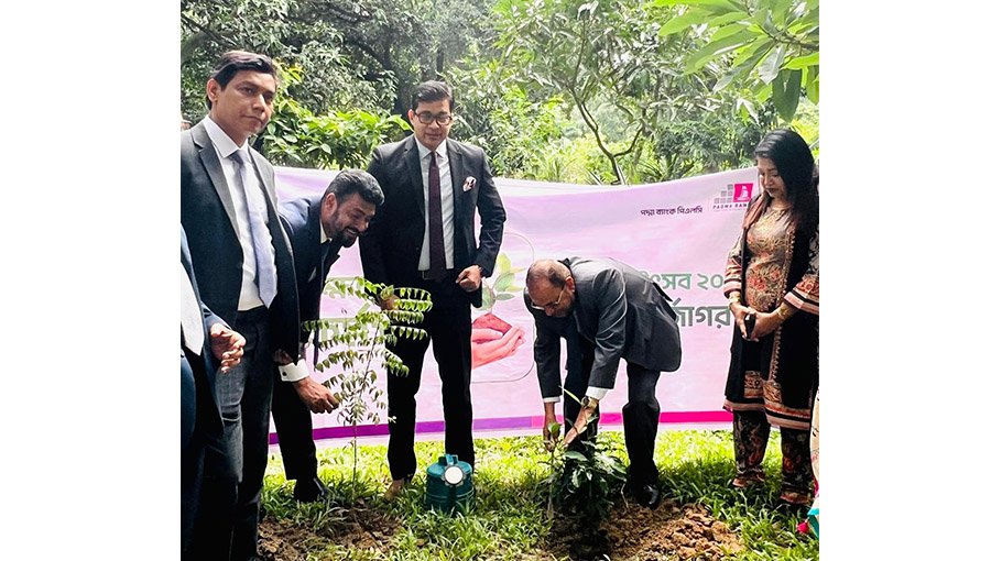 Padma Bank holds plantation prog marking July Uprising & Youth Festival-25