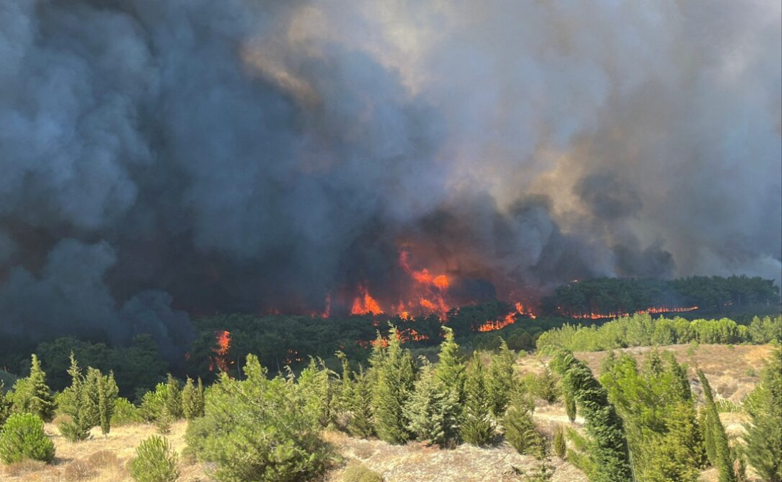 Hundreds evacuated in northwestern Turkey as authorities fight wildfires