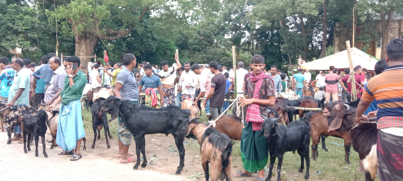 Goat markets in Raozan thrive ahead of Manasa Puja celebrations