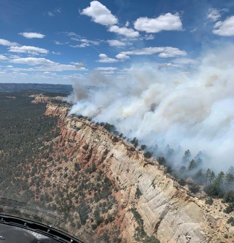 The “Wildfire” the forest service ignited