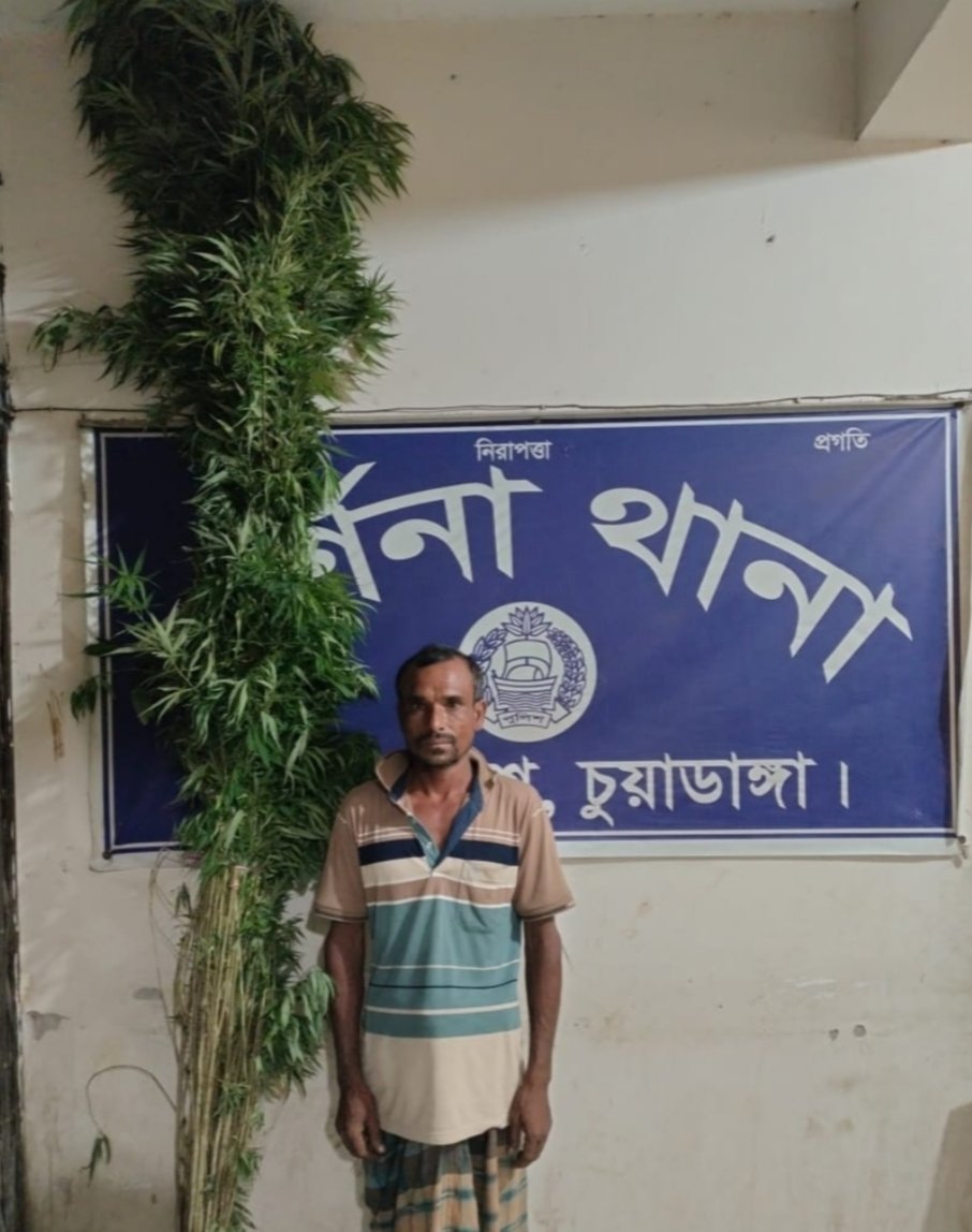 One arrested for growing cannabis in Chuadanga