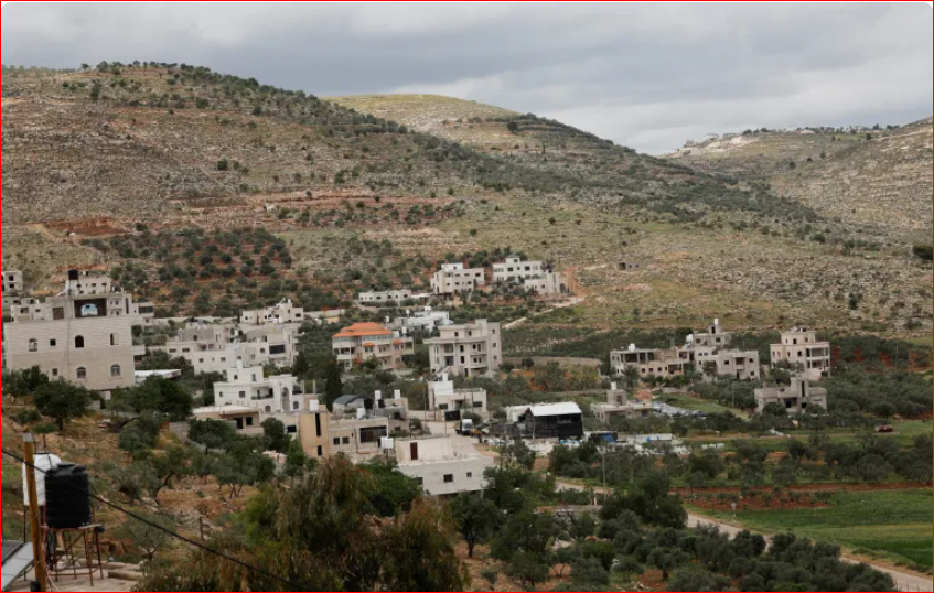 Israeli military uproots thousands of Palestinian olive trees in West Bank
