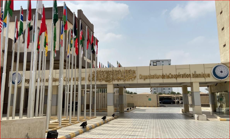 OIC renews call for justice for Rohingyas