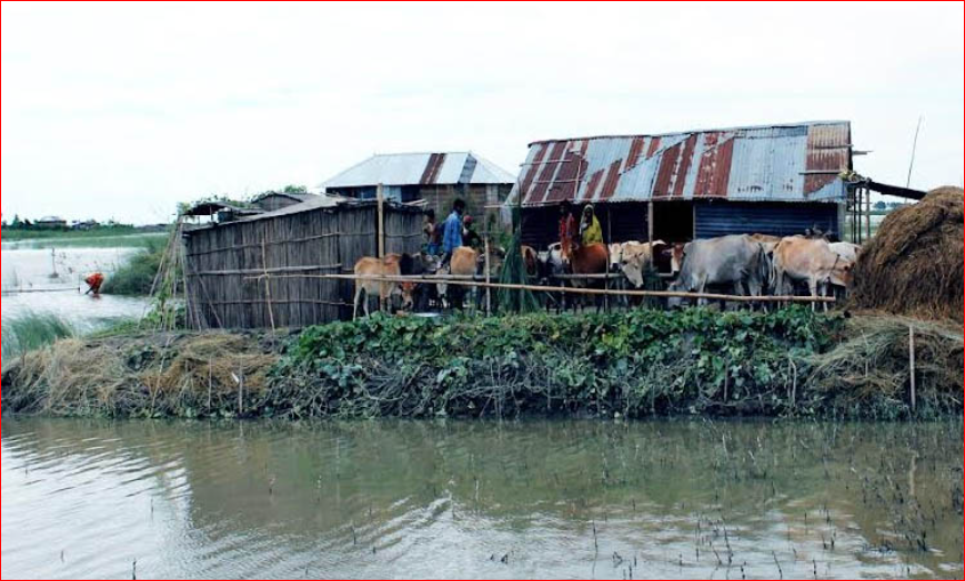 Char people's climate adaptation success can be replicated nationwide