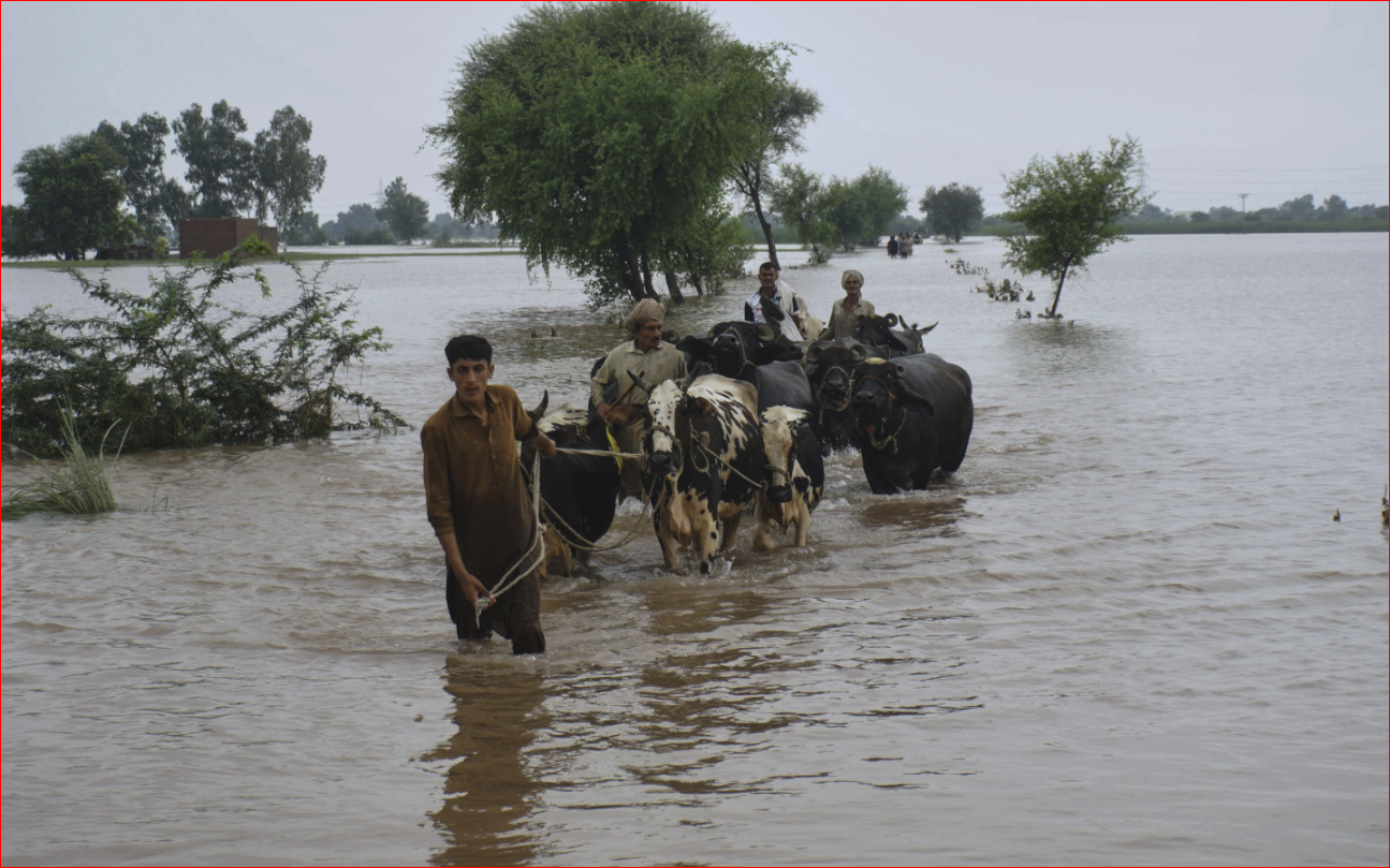 Pakistan’s Punjab faces biggest floods in its history, affecting 2m people