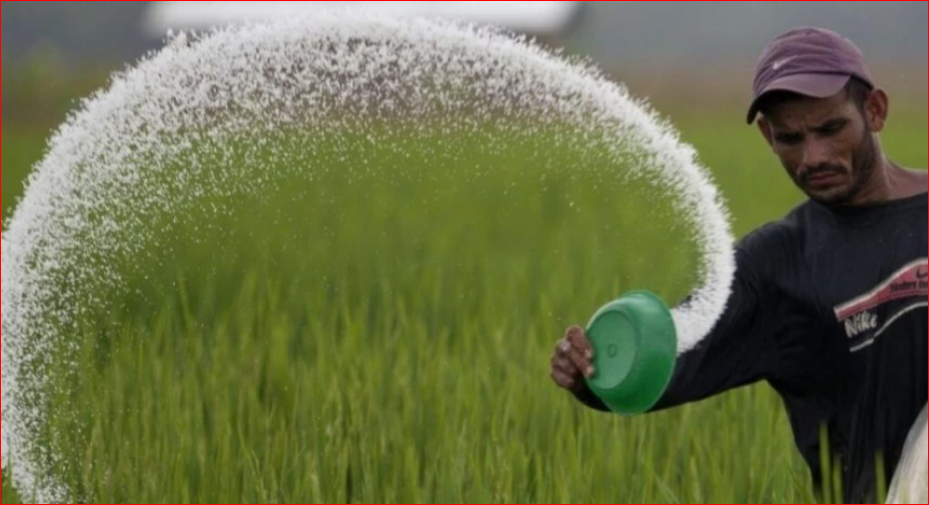 Govt to buy 145,000 MT fertiliser from four countries