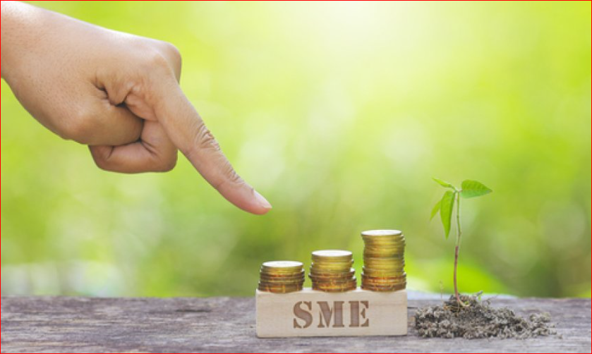 Effective steps needed to unlock global potential of SME