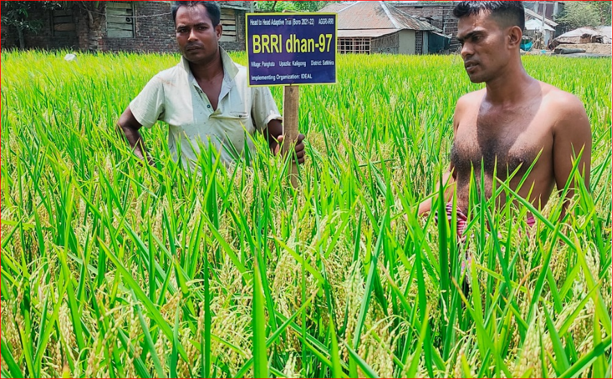 Stress-tolerant crops farming must be expanded