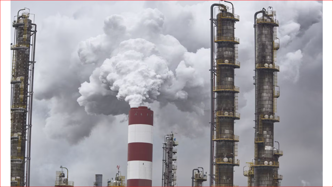 Fossil fuels harm health from 'cradle to grave': report