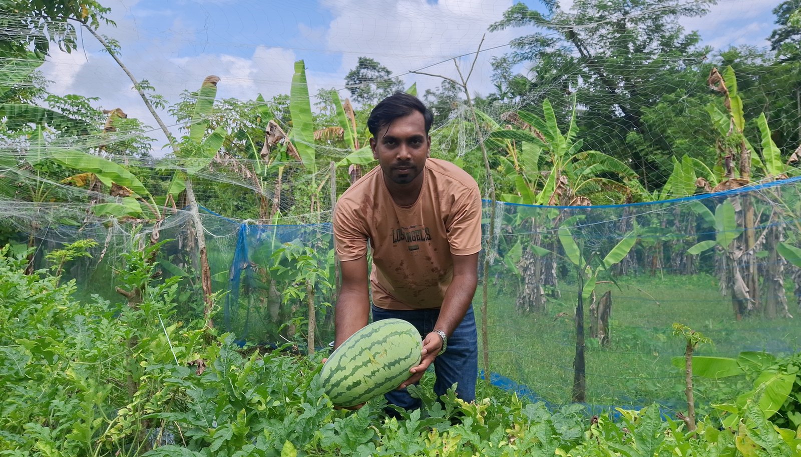 Farmer succeeds in off-season watermelon cultivation in Patuakhali