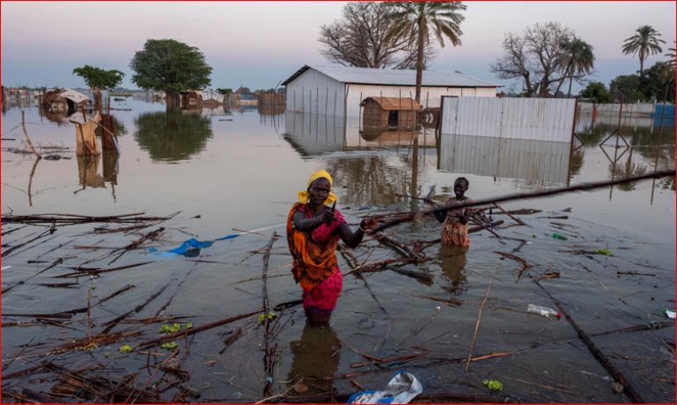 Climate change causing havoc with global water cycle: UN