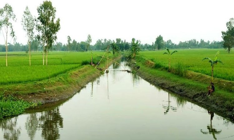 Re-excavation of canals becomes blessings for 11,200 farmers in Rangpur