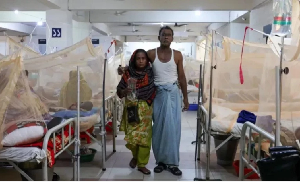 Dengue deaths hit record high in Bangladesh as 12 die in a single day