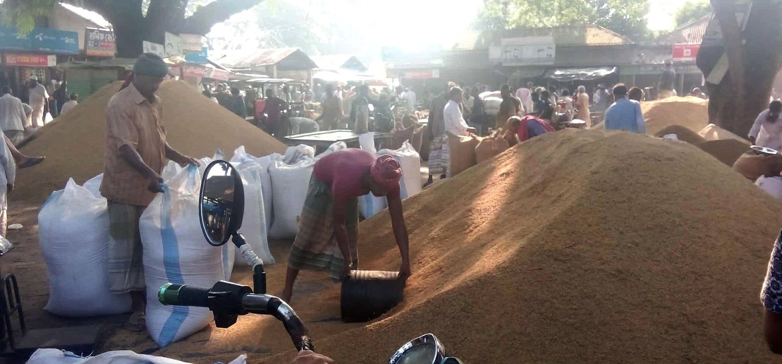 Farmers Forced to Sell Paddy at a Loss in Ishwardi's Muladuli Market