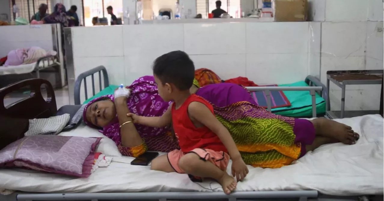 514 new dengue cases detected in 24 hours
