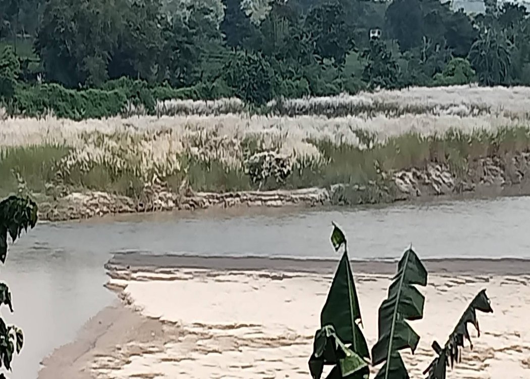 Autumn in bloom: Panchagrh adorned with Kashful