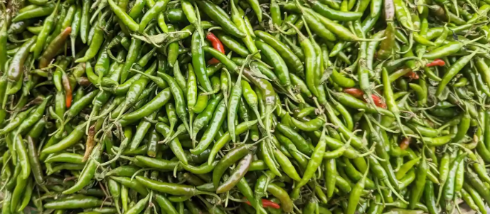 Rain pushes green chilli price to Tk 300 per kg, almost all vegetable prices upward